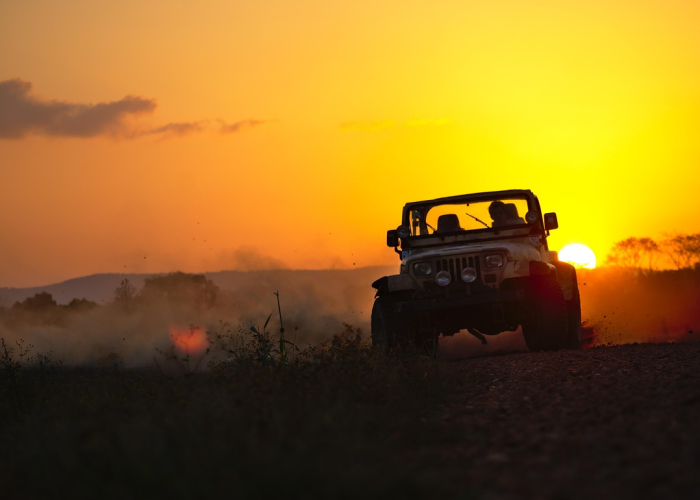 行程码查询入口官网，您的出行健康通行证全攻略