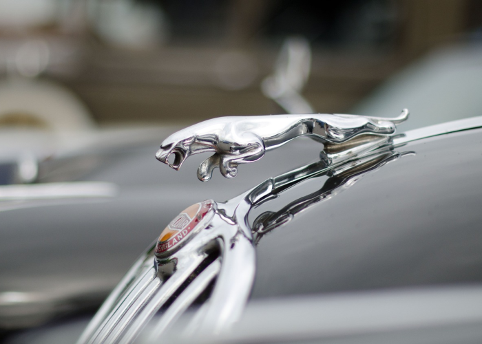 一分钟了解“炸 金花牛牛房卡链接”详细房卡怎么购买教程