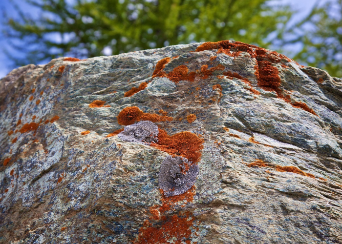 全攻略普及“斗牛链接房卡找谁购买”获取房卡教程-哔哩哔哩