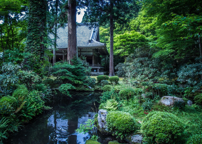 全攻略普及“可以一起创房的牛牛”轻松获取房卡全渠道 全攻略普及“可以一起创房的牛牛”轻松获取房卡全渠道