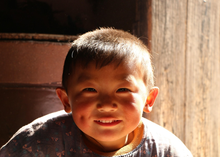 福州疫情与蚊子传播风险最新动态,科学防控与公众应对指南 福州疫情与蚊子传播风险最新动态,科学防控与公众应对指南