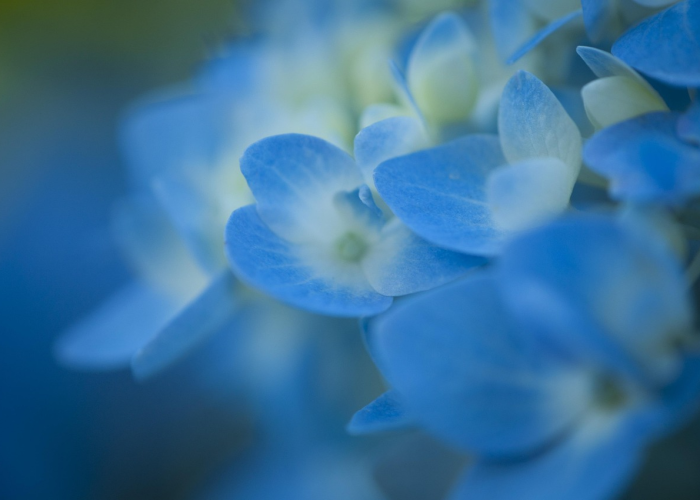 杭州萧山疫情最新动态,精准防控下的生活与复苏之路 杭州萧山疫情最新动态,精准防控下的生活与复苏之路