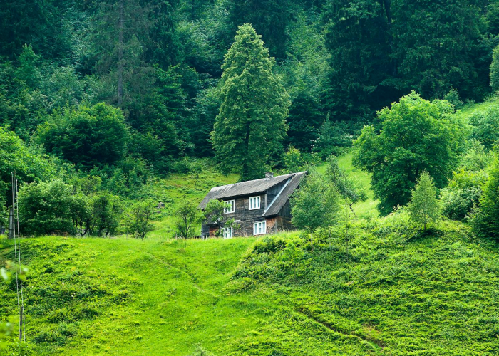 洞悉疫情脉搏,每日新冠动态的深层解读与未来展望 洞悉疫情脉搏,每日新冠动态的深层解读与未来展望