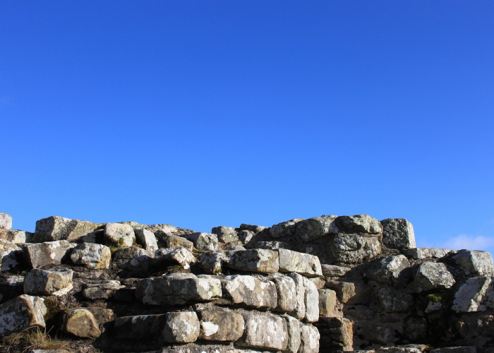 北京疫情最新动态，精准防控下的城市守护与生活图景