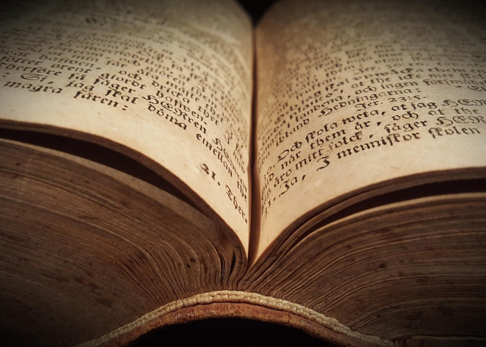 百科知识新视界,全景网如何重塑我们的认知方式 百科知识新视界,全景网如何重塑我们的认知方式