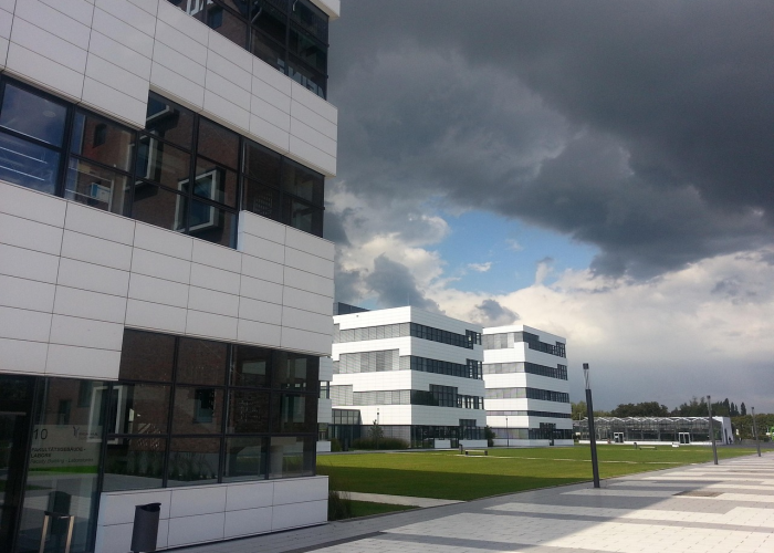 五一后九省学府，寂静校园的苏醒密码