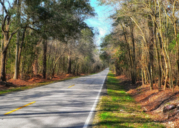 西安疫情封控区，一座古城的静默与坚守