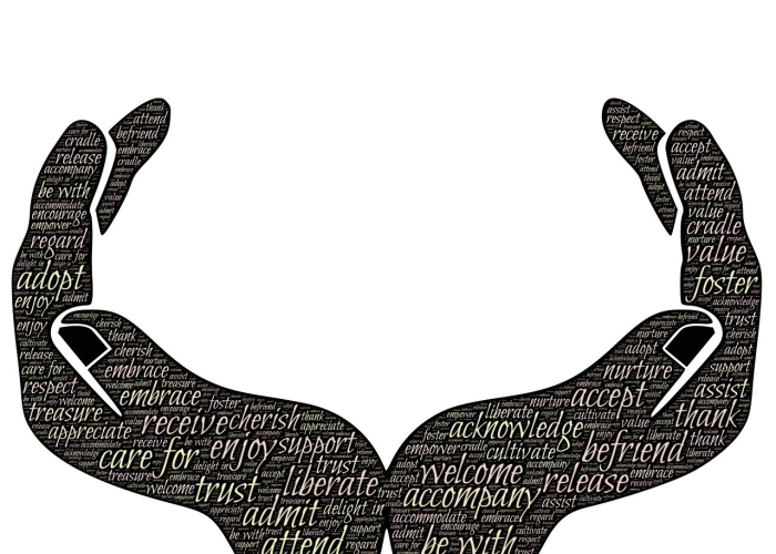 西安疫情动态追踪，最新防控部署与市民生活指南全解析