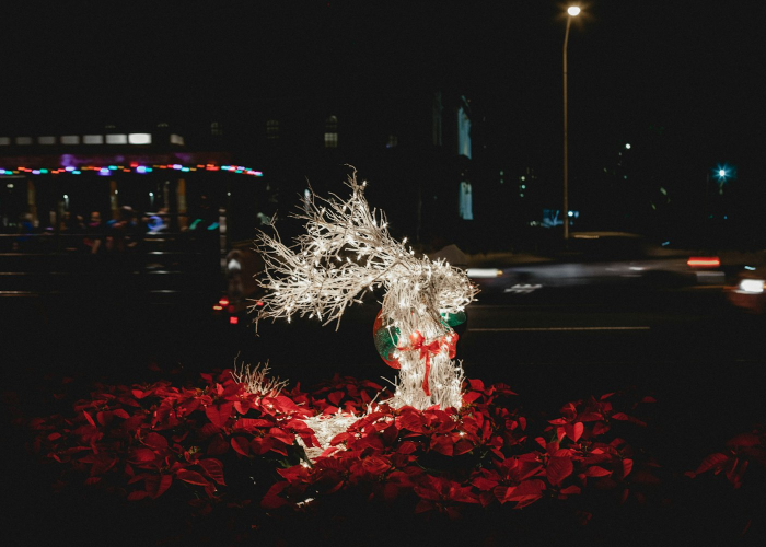 大连红五舞厅，营业时间背后的城市记忆与文化密码