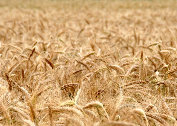 攸县贰月捌日疫情态势全景解析，动态清单背后的坚守与期盼