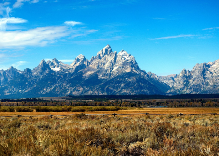甘肃疫情动态全景透视，防控成效显著，但持久战仍在继续