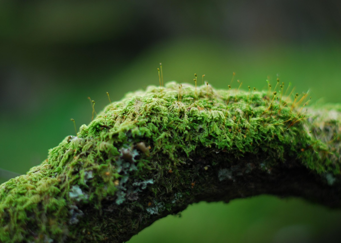 北京供暖时间，温暖守护，从秋末到春初的民生工程