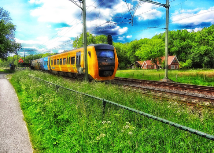 贰0贰贰清明祭，在静默中凝望，于告别处新生