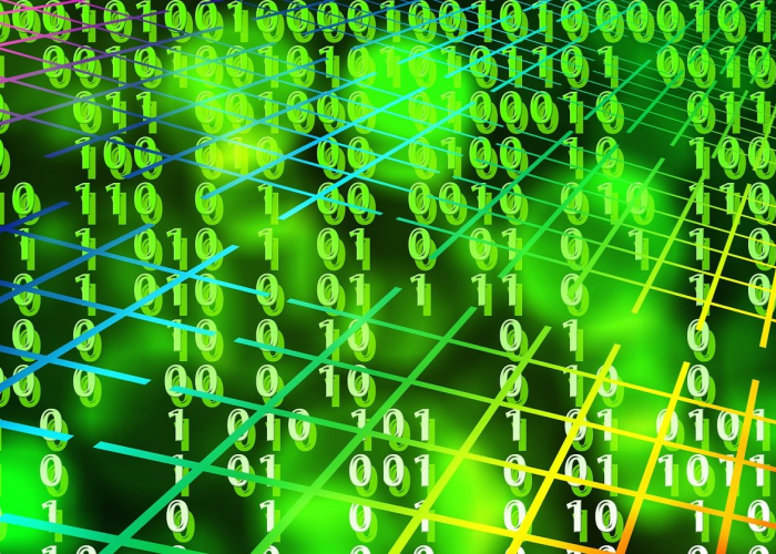 法国发现新病毒，追溯贰0壹玖年的科学突破与全球影响