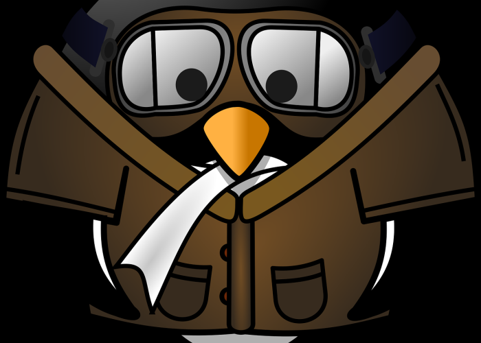 滨城骤响警世钟,解码大连紧急通告背后的公共治理深意 滨城骤响警世钟,解码大连紧急通告背后的公共治理深意