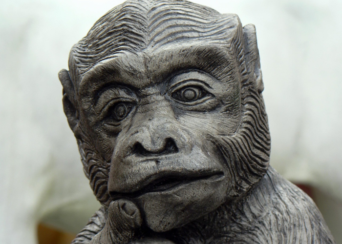 濮阳战疫纪实,最新防控部署与市民生活动态全景透视 濮阳战疫纪实,最新防控部署与市民生活动态全景透视