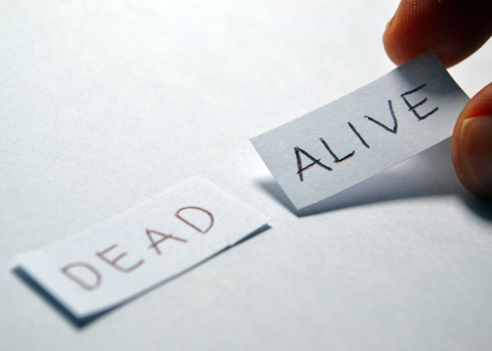 凯里防疫态势追踪，最新数据透视与常态化防控下的市民生活观察