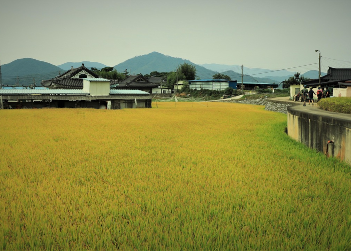 上海疫情传播尚未得到有效遏制的原因分析