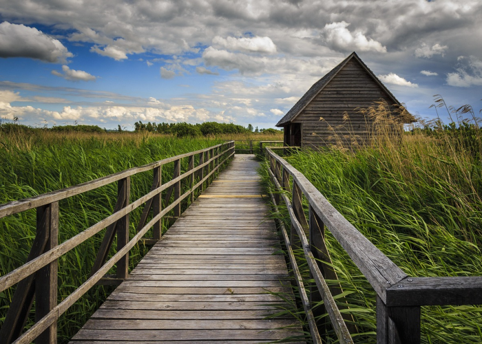 津门静默,一座城的坚守与温度 津门静默,一座城的坚守与温度