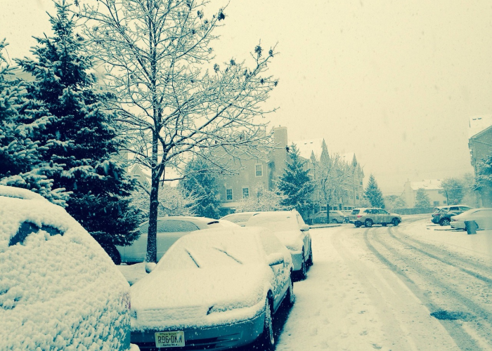 草原静默,呼伦贝尔疫情下的坚守与希望 草原静默,呼伦贝尔疫情下的坚守与希望