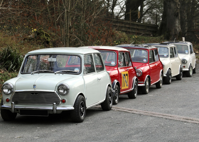 清明节不放假能举报吗？法律赋予你的权利与维权指南