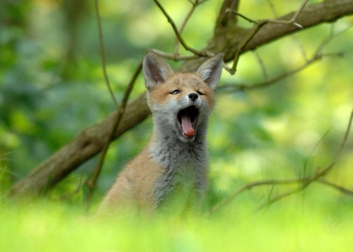 拨开迷雾见真章,中国三本类公办院校的深度辨析与价值探寻 拨开迷雾见真章,中国三本类公办院校的深度辨析与价值探寻