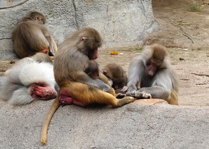 兰州疫情最新动态,今日新增病例分析与防控措施全面解读 兰州疫情最新动态,今日新增病例分析与防控措施全面解读