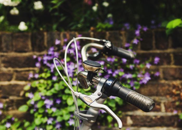 树枝刮花了车怎么办？别慌，这些实用修复技巧帮你轻松应对！