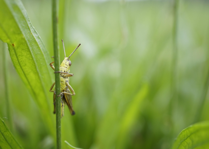 闵行区最新疫情动态,新增确诊小区分布与防控措施详解 闵行区最新疫情动态,新增确诊小区分布与防控措施详解