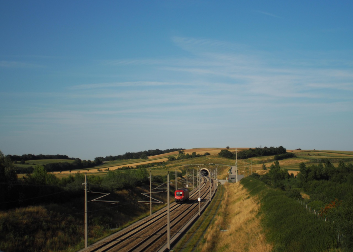 福建疫情最新动态,精准防控下的轨迹追踪与社区应对 福建疫情最新动态,精准防控下的轨迹追踪与社区应对