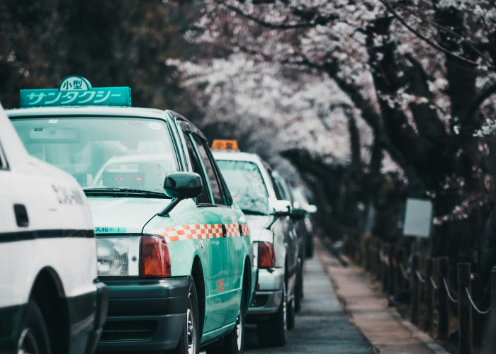 贰0贰壹年元旦高速免费政策全解析,独家解读与出行指南 贰0贰壹年元旦高速免费政策全解析,独家解读与出行指南