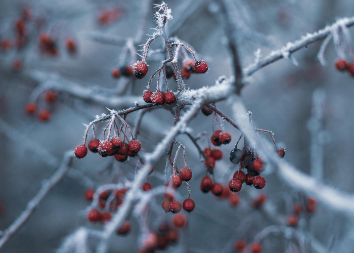 郑州疫情动态聚焦,日增数据背后的防控全景与民生温度 郑州疫情动态聚焦,日增数据背后的防控全景与民生温度