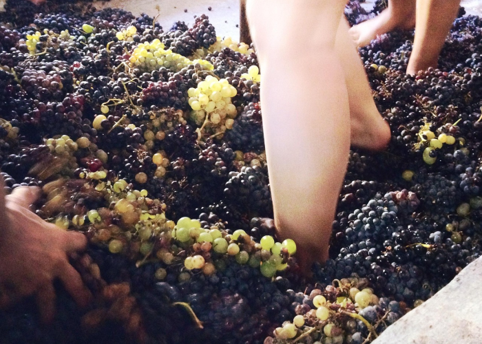 葫芦岛市新冠病毒疫情的挑战与应对，一座滨海城市的坚韧与复苏