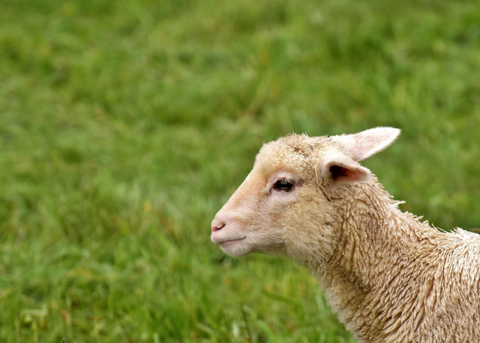 河北防疫新动态，一地升级中风险，精准防控下的民生温度与韧性