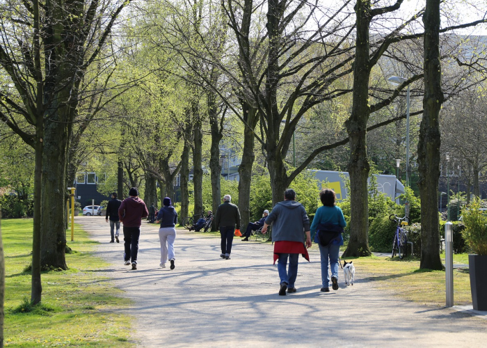 百度独家原创标题
