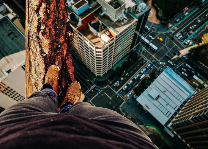 上海防疫风险等级划分,精准防控的科学实践与城市韧性 上海防疫风险等级划分,精准防控的科学实践与城市韧性