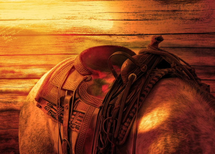 西城大爷的记忆坐标,一位普通北京人的防疫阻击战 西城大爷的记忆坐标,一位普通北京人的防疫阻击战