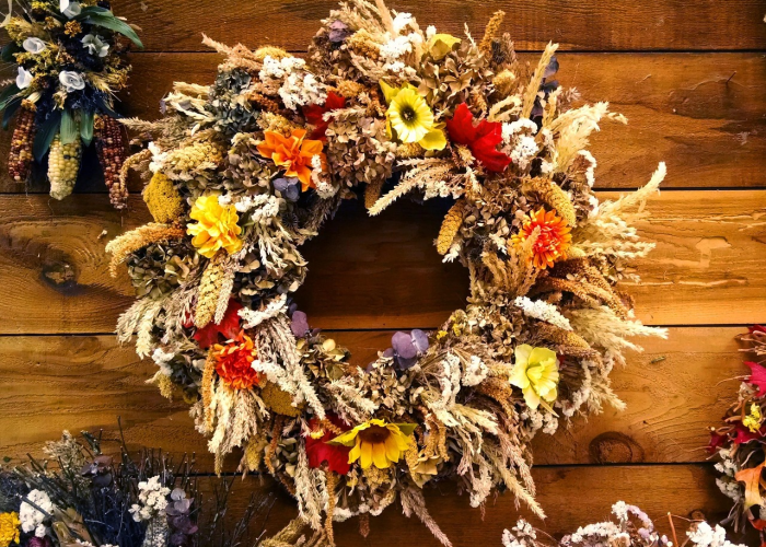 九天环球影城今日放映表，奇幻之旅与电影盛宴，开启你的专属冒险日！