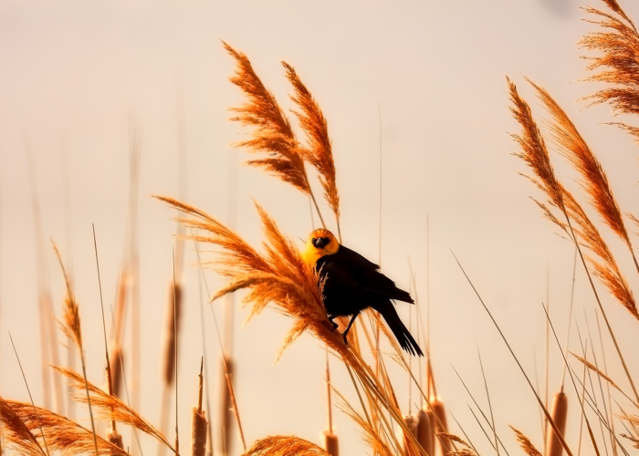 长春疫情阻击战，从寒冬坚守到春日的希望之光