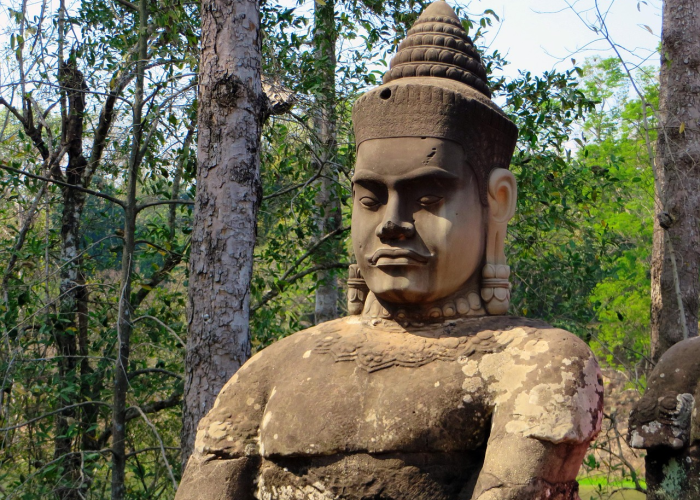 蜀地禽流感动态追踪，防控升级下的产业阵痛与公共卫生防线