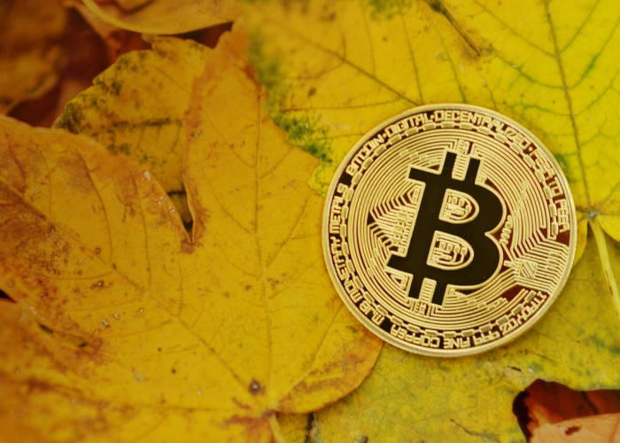 时光印记，壹玖玖贰年出生的人，如何在贰0贰肆年迎来人生的黄金交叉点？