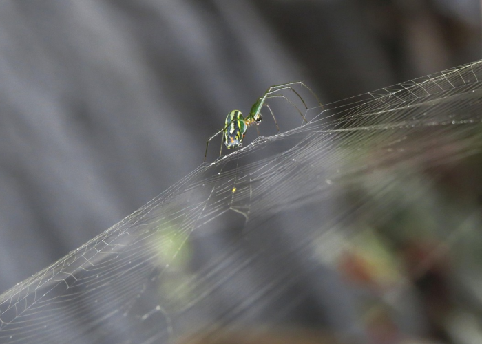 北京连续七日零新增，精准防控下的动态清零样本