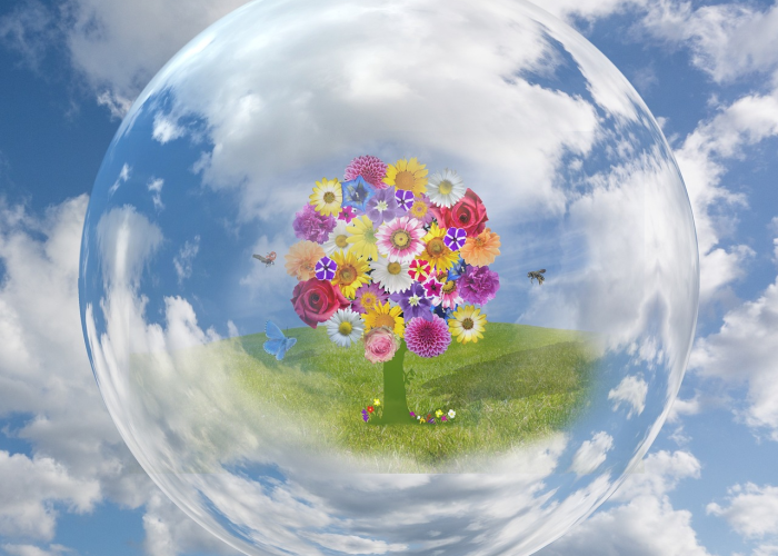 冬奥会几点开始举办？揭秘开幕时间的背后故事与全球盛典的精彩瞬间