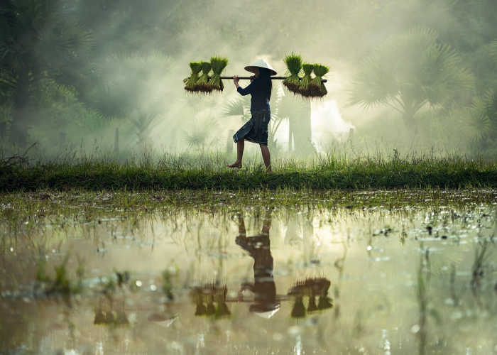 国庆免费时段，一场全民出行的盛宴与反思