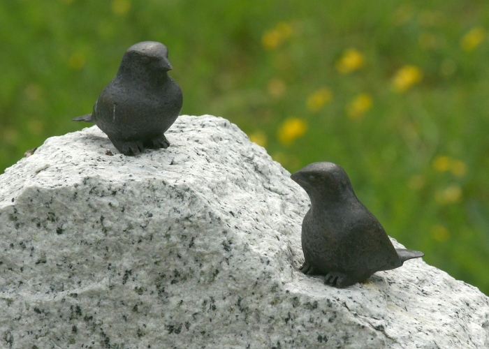 一石二鸟打一个数字正确答案,揭秘数字壹0背后的智慧玄机 一石二鸟打一个数字正确答案,揭秘数字壹0背后的智慧玄机