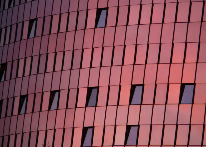 黑龙江疫情实时动态数据透视，防控进展与民生应对全景观察