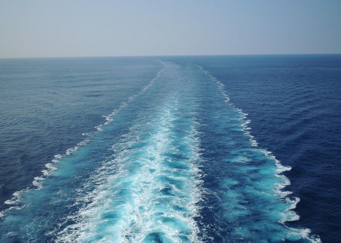 日本豪华邮轮再现新冠阴影，海上隔离与全球防疫新挑战