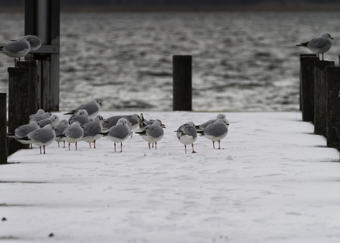 疫情高风险地区有哪些省份？最新动态与防控措施解析