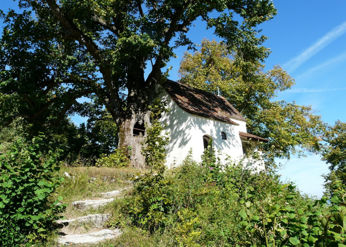中国四季的分水岭,揭秘春夏秋冬最具代表性的五天 中国四季的分水岭,揭秘春夏秋冬最具代表性的五天